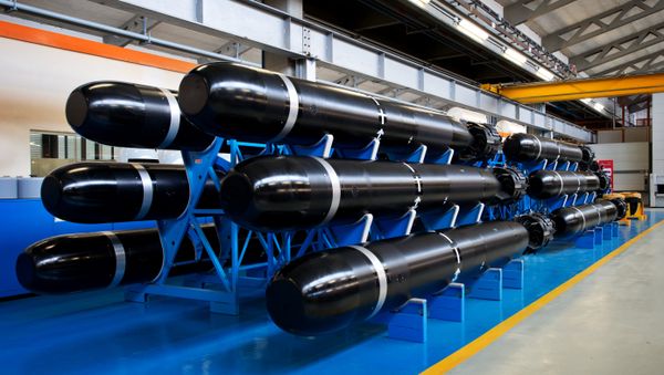 Black Shark Torpedoes - Sputnik International