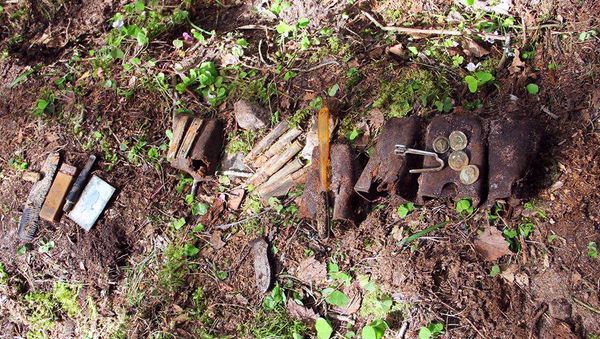 Finds of the Gogland expedition on Bolshoy Tyuters in the Leningrad Region - Sputnik International