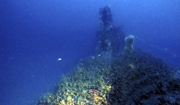 The wreckage of a British submarine that was sunk off the coast of Sardinia during World War II. - Sputnik International