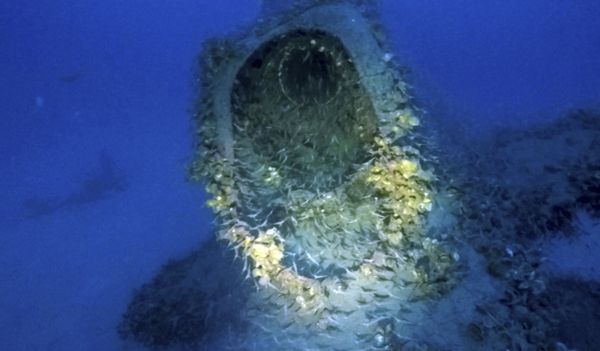 The wreckage of a British submarine that was sunk off the coast of Sardinia during World War II. - Sputnik International
