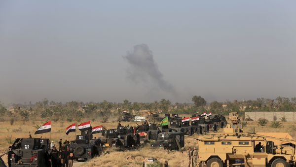Iraqi military forces prepare for an offensive into Fallujah to retake the city from Islamic State militants in Iraq, Monday, May 30, 2016. - Sputnik International