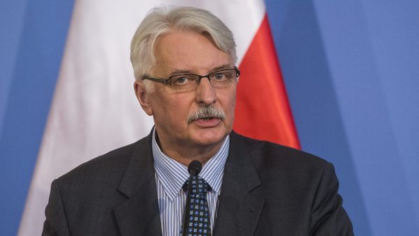 Polish Foreign Minister Witold Waszczykowski speaks during a joint press conference. Polish Foreign Minister Witold Waszczykowski speaks during a joint press conference. - Sputnik International