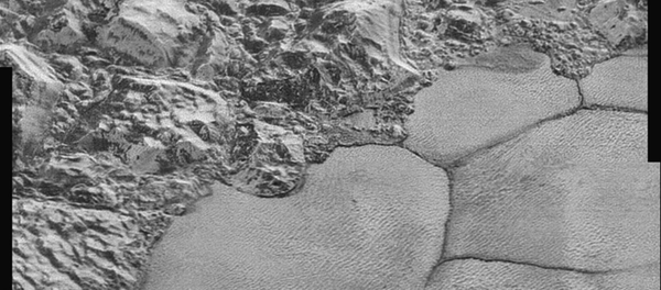 One section of the new Pluto images. - Sputnik International