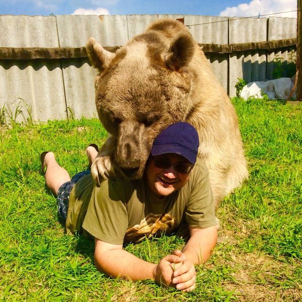 Bear Stepan - Sputnik International