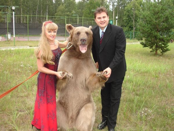 Bear Stepan - Sputnik International