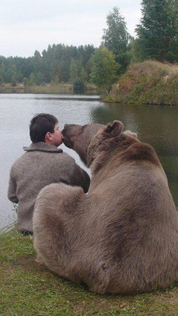 Bear Stepan - Sputnik International