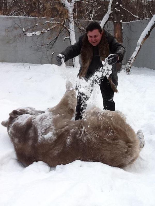 Bear Stepan - Sputnik International