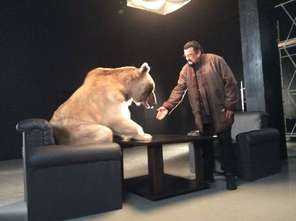 Bear Stepan - Sputnik International