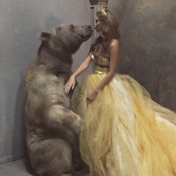 Bear Stepan - Sputnik International