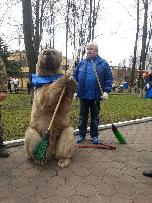 Bear Stepan - Sputnik International