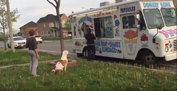 Pit Bull patiently waits in line for ice cream - Sputnik International