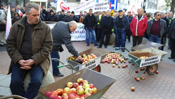 Polish farmers and horticulturists protest in Warsaw - Sputnik International
