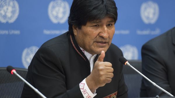 Bolivian President Evo Morales speaks to members of the media April 21, 2016 at the United Nations in New York Bolivian President Evo Morales speaks to members of the media April 21, 2016 at the United Nations in New York - Sputnik International