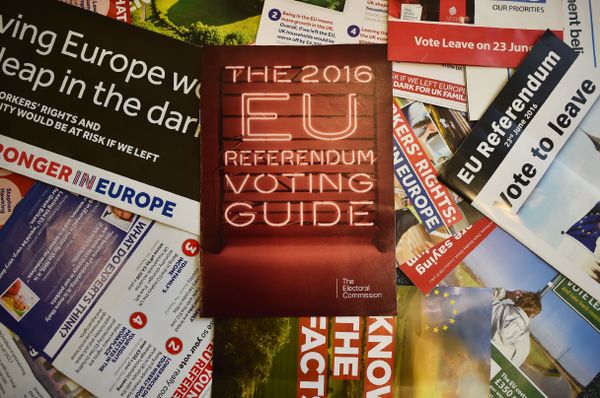 Leaflets delivered recently to British households, relating to the forthcoming European Union (EU) referendum, are arranged for a photograph in London on May 31, 2016. Leaflets delivered recently to British households, relating to the forthcoming European Union (EU) referendum, are arranged for a photograph in London on May 31, 2016. - Sputnik International