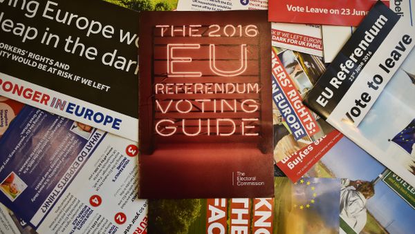 Leaflets delivered recently to British households, relating to the forthcoming European Union (EU) referendum, are arranged for a photograph in London on May 31, 2016 Leaflets delivered recently to British households, relating to the forthcoming European Union (EU) referendum, are arranged for a photograph in London on May 31, 2016 - Sputnik International