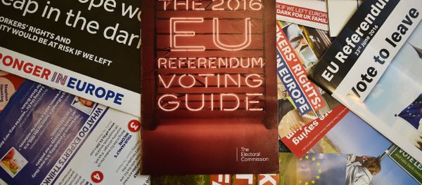 Leaflets delivered recently to British households, relating to the forthcoming European Union (EU) referendum, are arranged for a photograph in London on May 31, 2016 Leaflets delivered recently to British households, relating to the forthcoming European Union (EU) referendum, are arranged for a photograph in London on May 31, 2016 - Sputnik International