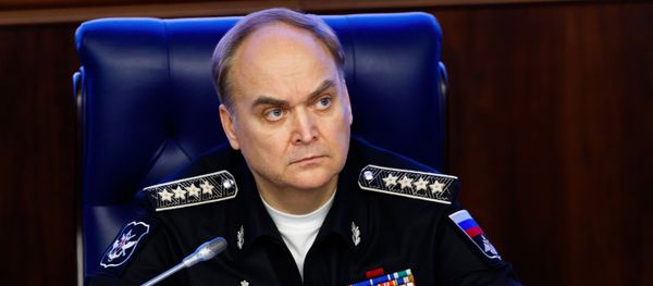 Russia's Deputy Defense Minister Anatoly Antonov during a briefing on the situation in Syria at the ministry's Press Cente - Sputnik International
