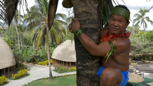 How To Climb a Coconut Tree - Sputnik International