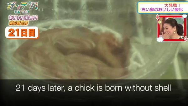 INSANE! Japanese high school students hatch an egg without an EGG! - Sputnik International