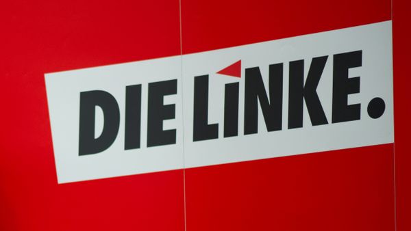 Die Linke party logo - Sputnik International