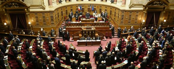 French Senate. (File) - Sputnik International
