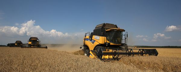 Harvesting wheat at the fields of the Lebyage-Chepiginskoe JSC in Timashevsky District, Krasnodar Territory - Sputnik International