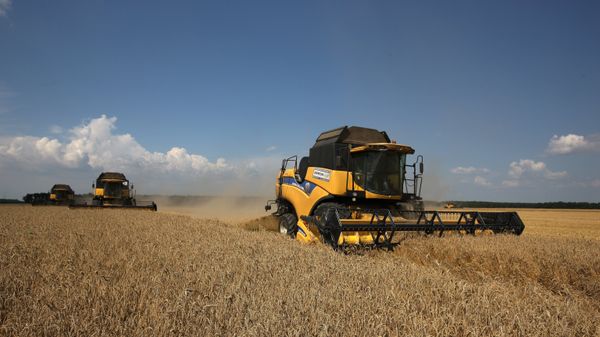 Harvesting wheat at the fields of the Lebyage-Chepiginskoe JSC in Timashevsky District, Krasnodar Territory - Sputnik International