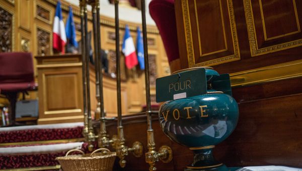 French Senate votes to ease sanctions against Russia French Senate votes to ease sanctions against Russia - Sputnik International
