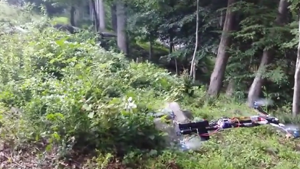Don't Tread on Me? Weaponized Drone Builder Claims Feds Can't Regulate Him - Sputnik International