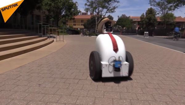 This Jackrabbot Is So Smart, It Can Walk With You Everywhere - Sputnik International