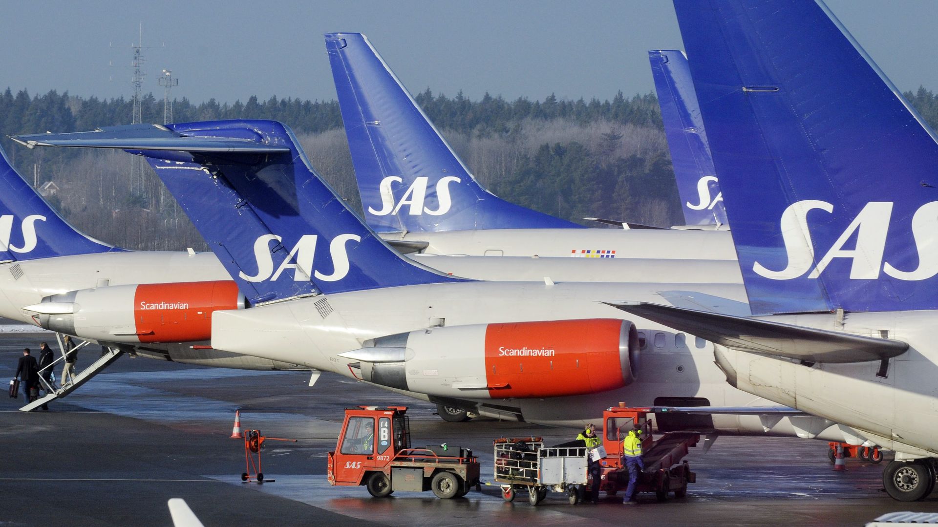 SAS aircraft are seen parked at the gates at terminal 4 of Arlanda Airport near Stockholm SAS aircraft are seen parked at the gates at terminal 4 of Arlanda Airport near Stockholm - Sputnik International, 1920, 08.06.2022
