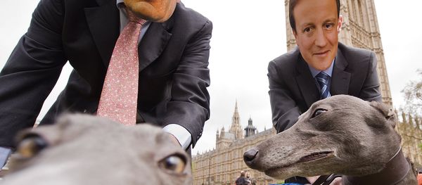 Men wear masks showing the faces of Gordon Brown (L) and David Cameron (R), as they pose with greyhounds during a photocall on April 26, 2010. - Sputnik International