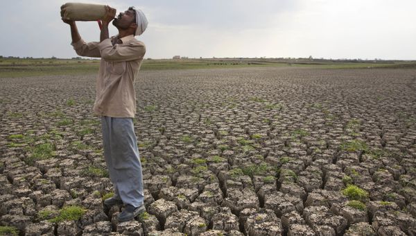 Shepard drinks water on the dry bed of Manjara Dam, which supplies water to Latur and nearby villages in Marathwada region, in the Indian state of Maharashtra. (File) - Sputnik International