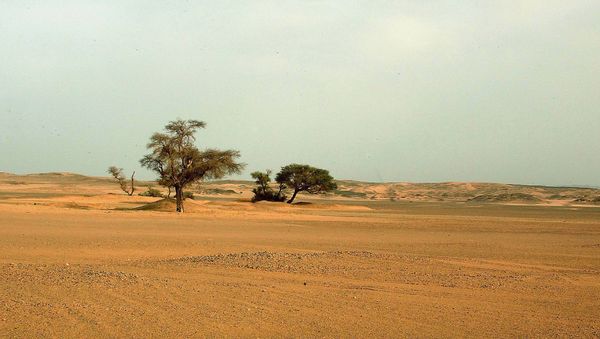 Sahara Desert  - Sputnik International