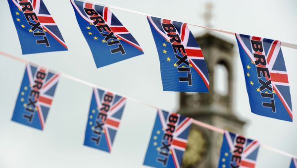 Pro-Brexit flags fly from a fishing boat moored in Ramsgate on June 13, 2016 - Sputnik International