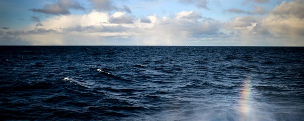 The Barents Sea. - Sputnik International