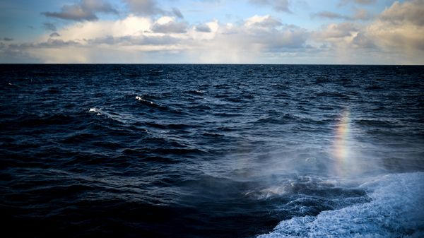 The Barents Sea - Sputnik International
