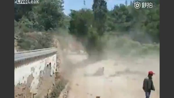 Tree revenge - Sputnik International