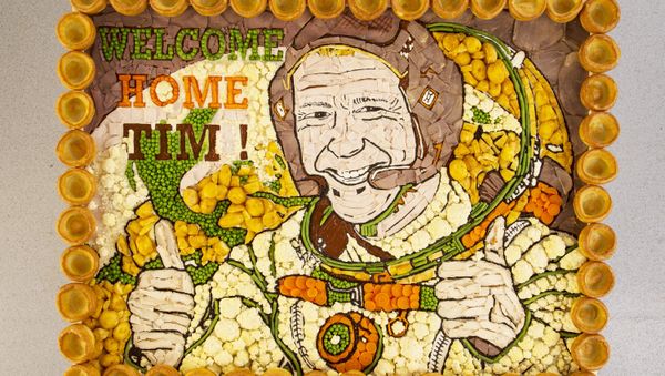 Tim Peake immortalized in roast dinner - Sputnik International