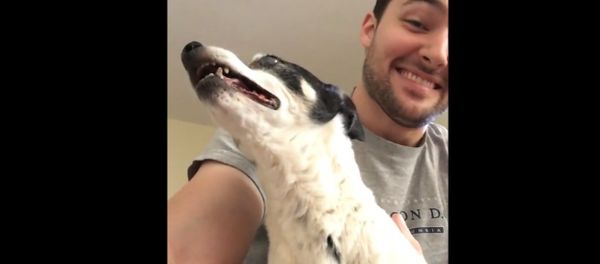 Maggie Sneezing Maggie Sneezing - Sputnik International