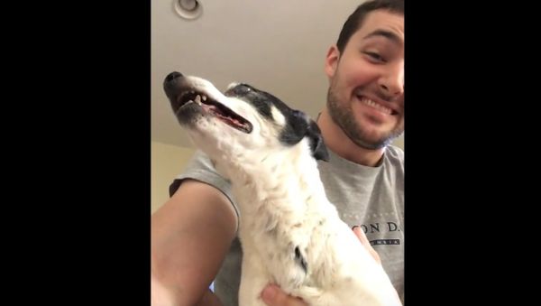 Maggie Sneezing - Sputnik International