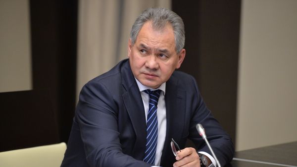 Russian Defense Minister Sergei Shoigu - Sputnik International