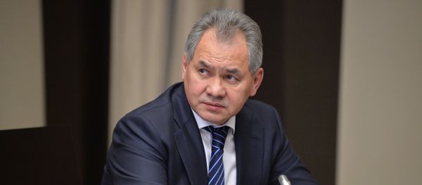 Russian Defense Minister Sergei Shoigu - Sputnik International