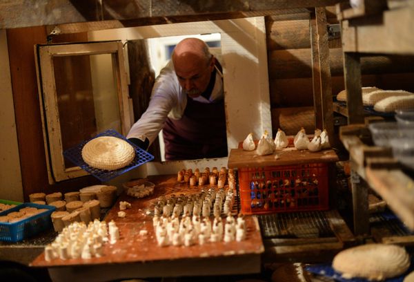 French cheese production at Vladimir Borev's Lipetsk Region farm - Sputnik International