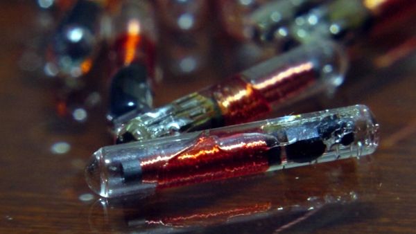 VeriChip microchips appear in this April 13, 2004 file photo, in Palm Beach, Fla. - Sputnik International