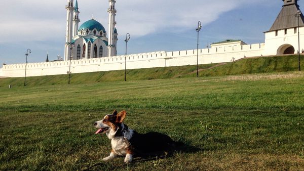 Pastushok on the background Kazan Kremlin - Sputnik International