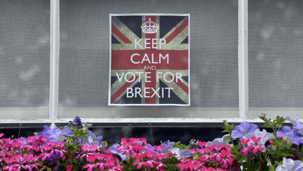 Vote leave posters are seen in a window in Chelsea, London, Britain, June 23, 2016. - Sputnik International