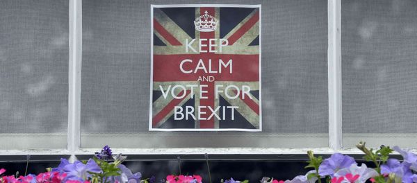 Vote leave posters are seen in a window in Chelsea, London, Britain, June 23, 2016. - Sputnik International