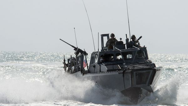 Riverine Command Boat (RCB) 805 in the Persian Gulf. (File) - Sputnik International