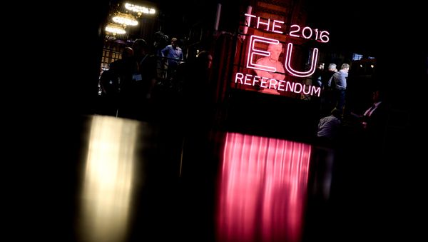 A neon sign at Manchester town hall where the results of the Brexit referendum were announced. - Sputnik International